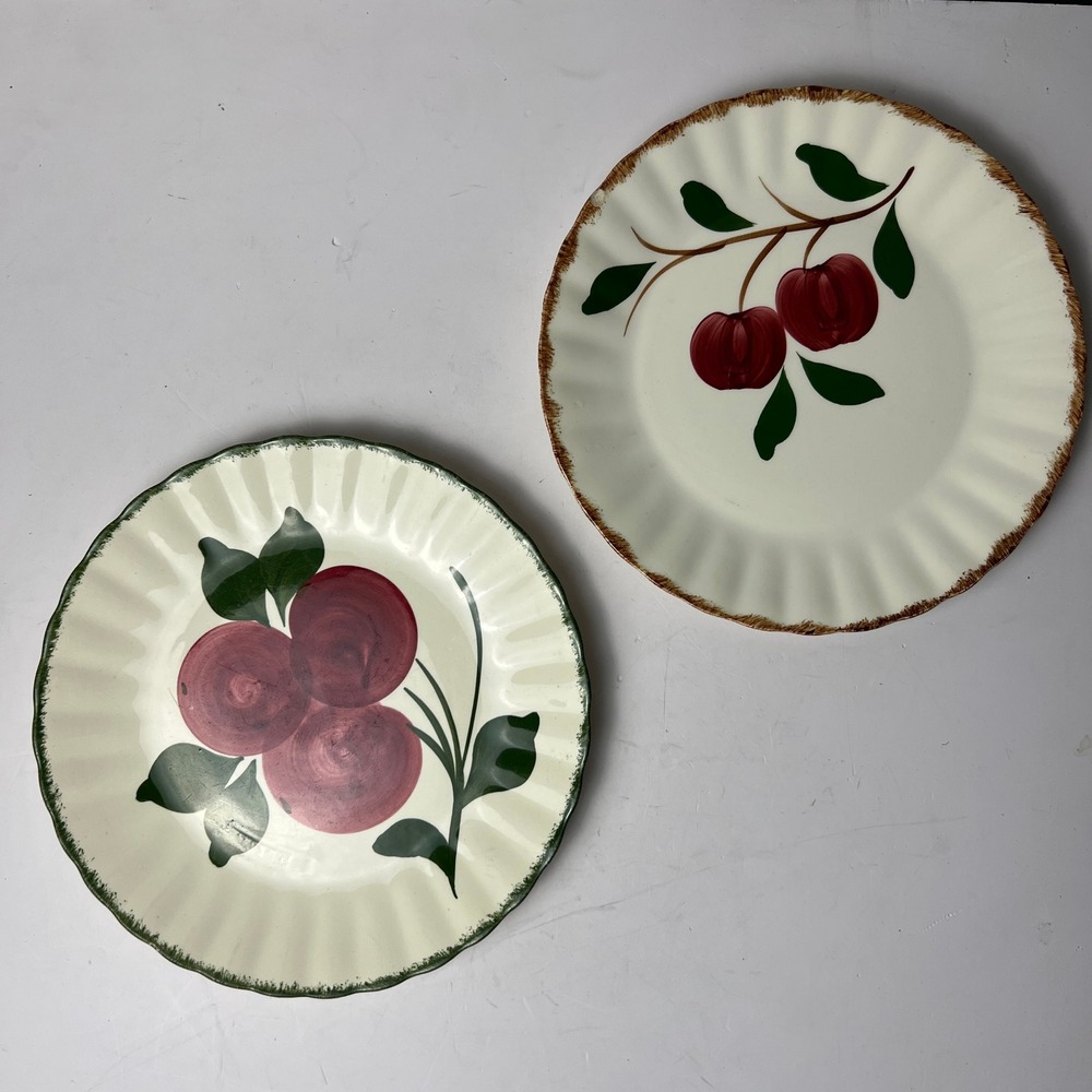 Blue Ridge Southern Potteries Dinner Plates 9.25in Red Apple Vintage Set of 2